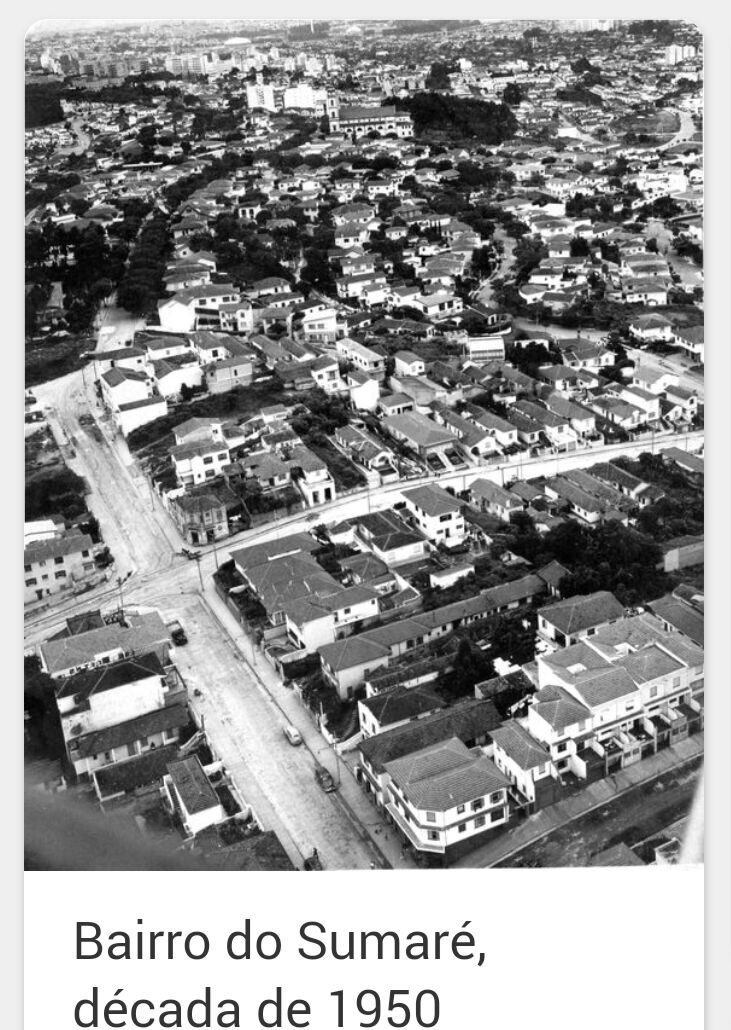 SUMARE 1950